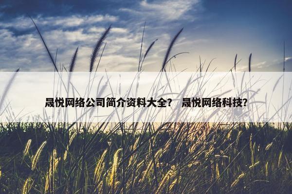 晟悦网络公司简介资料大全？ 晟悦网络科技？