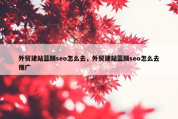 外贸建站蓝颜seo怎么去，外贸建站蓝颜seo怎么去推广