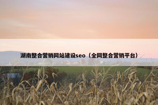 湖南整合营销网站建设seo（全网整合营销平台）