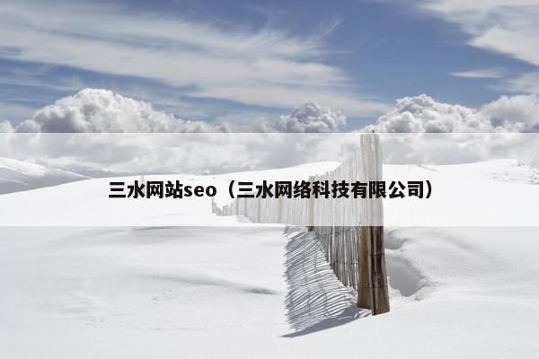 三水网站seo（三水网络科技有限公司）