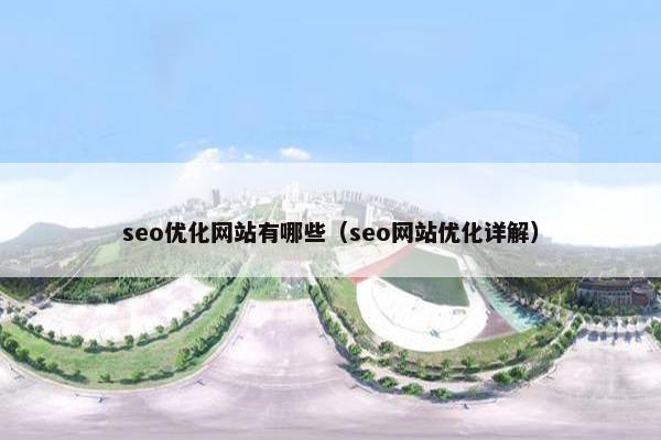 seo优化网站有哪些（seo网站优化详解）
