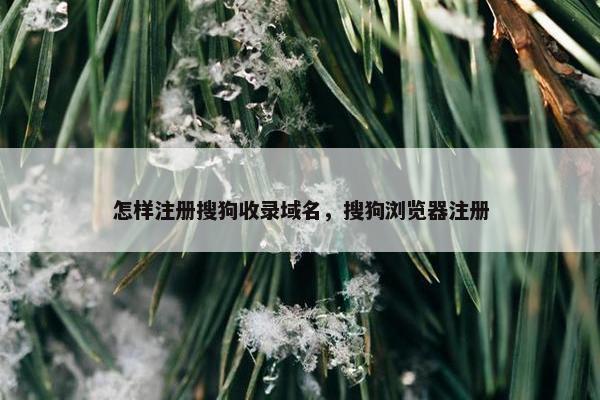 怎样注册搜狗收录域名，搜狗浏览器注册