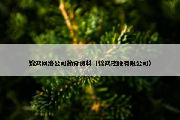 锦鸿网络公司简介资料（锦鸿控股有限公司）