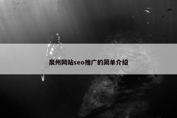 泉州网站seo推广的简单介绍
