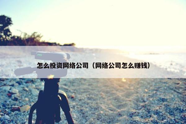 怎么投资网络公司（网络公司怎么赚钱）