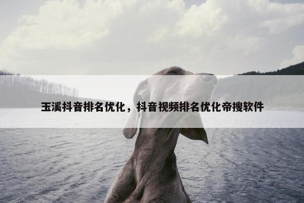 玉溪抖音排名优化，抖音视频排名优化帝搜软件
