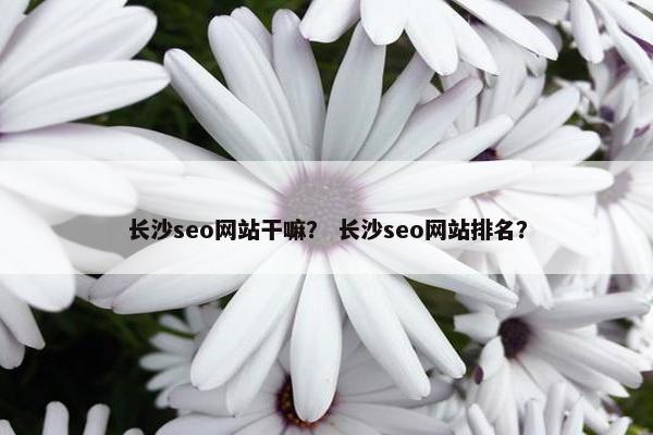 长沙seo网站干嘛？ 长沙seo网站排名？