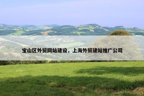 宝山区外贸网站建设，上海外贸建站推广公司