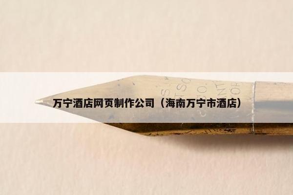 万宁酒店网页制作公司（海南万宁市酒店）