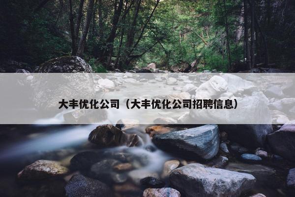 大丰优化公司（大丰优化公司招聘信息）