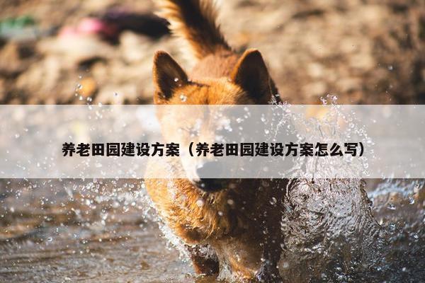 养老田园建设方案（养老田园建设方案怎么写）