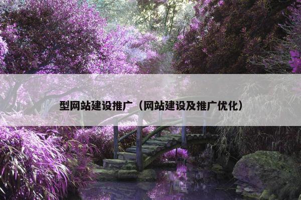 型网站建设推广（网站建设及推广优化）