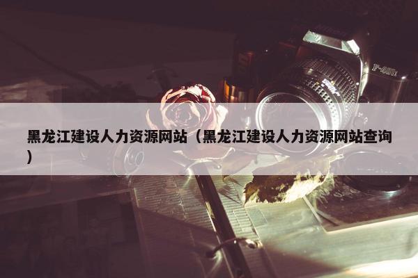 黑龙江建设人力资源网站（黑龙江建设人力资源网站查询）