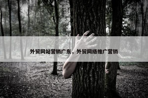 外贸网站营销广东，外贸网络推广营销