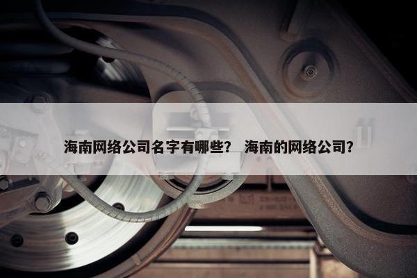 海南网络公司名字有哪些？ 海南的网络公司？