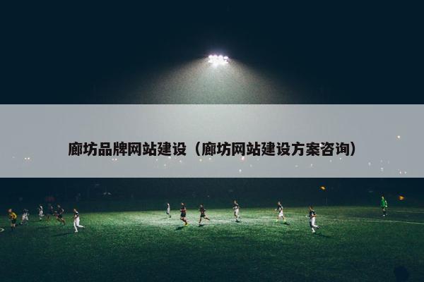 廊坊品牌网站建设（廊坊网站建设方案咨询）
