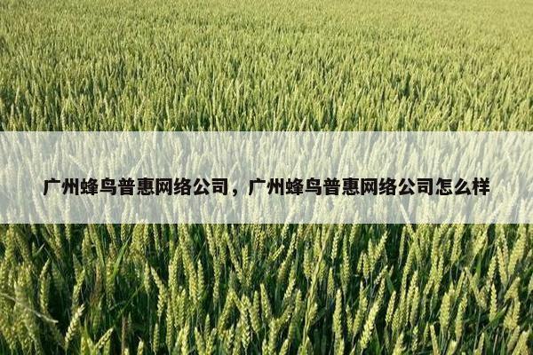 广州蜂鸟普惠网络公司，广州蜂鸟普惠网络公司怎么样
