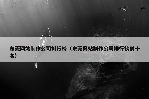 东莞网站制作公司排行榜（东莞网站制作公司排行榜前十名）