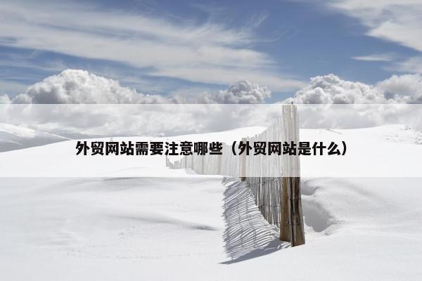 外贸网站需要注意哪些（外贸网站是什么）