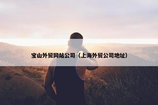 宝山外贸网站公司（上海外贸公司地址）