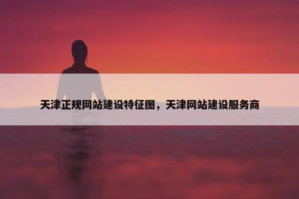 天津正规网站建设特征图，天津网站建设服务商