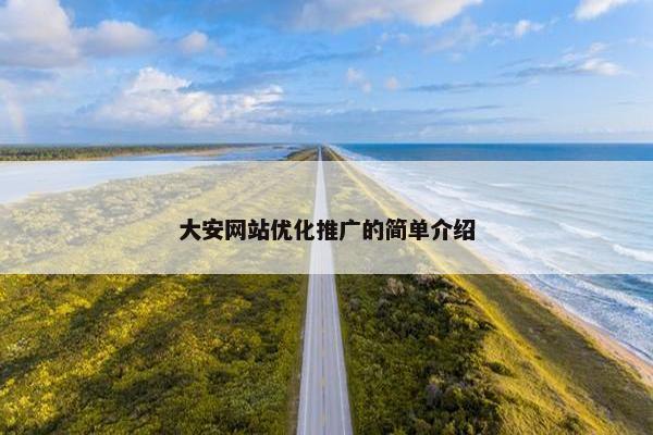 大安网站优化推广的简单介绍