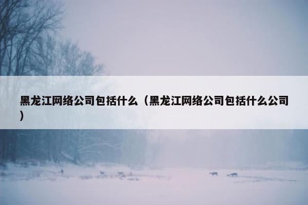 黑龙江网络公司包括什么（黑龙江网络公司包括什么公司）