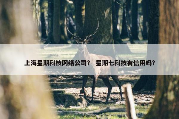 上海星期科枝网络公司？ 星期七科技有信用吗？