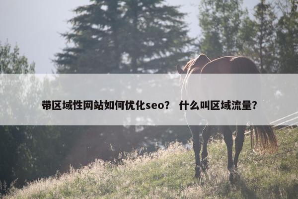 带区域性网站如何优化seo？ 什么叫区域流量？