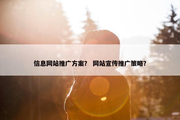 信息网站推广方案？ 网站宣传推广策略？
