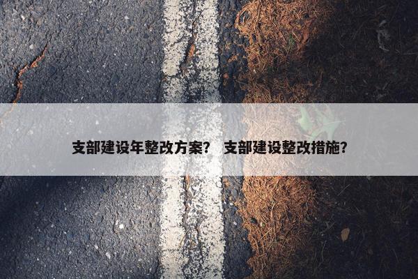 支部建设年整改方案？ 支部建设整改措施？