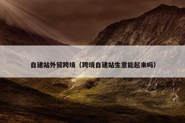 自建站外贸跨境（跨境自建站生意能起来吗）