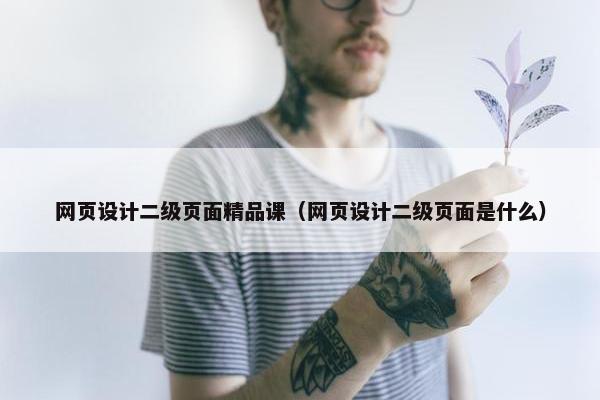 网页设计二级页面精品课（网页设计二级页面是什么）