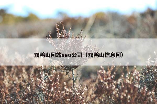 双鸭山网站seo公司（双鸭山信息网）