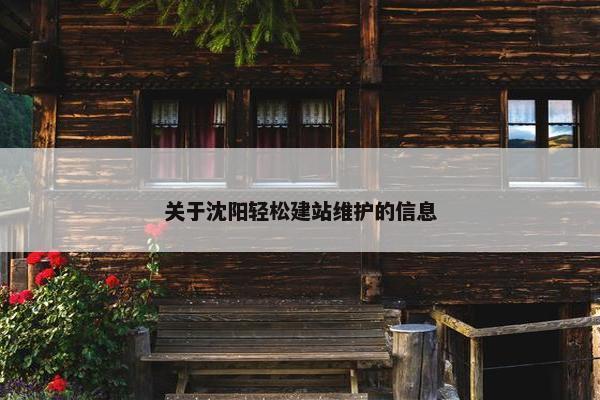 关于沈阳轻松建站维护的信息