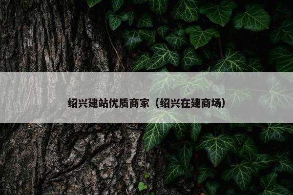 绍兴建站优质商家（绍兴在建商场）