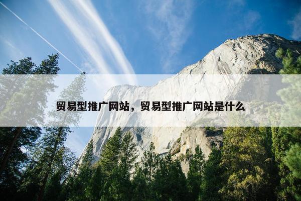 贸易型推广网站，贸易型推广网站是什么