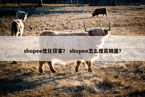 shopee优化获客？ shopee怎么提高销量？