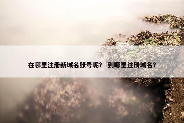 在哪里注册新域名账号呢？ 到哪里注册域名？