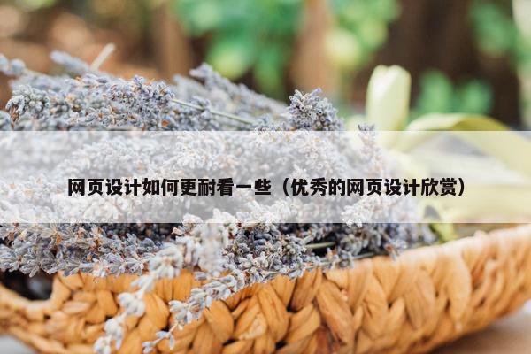 网页设计如何更耐看一些（优秀的网页设计欣赏）