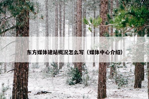 东方媒体建站概况怎么写（媒体中心介绍）