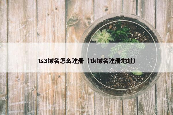 ts3域名怎么注册（tk域名注册地址）