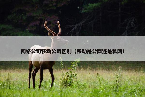 网络公司移动公司区别（移动是公网还是私网）