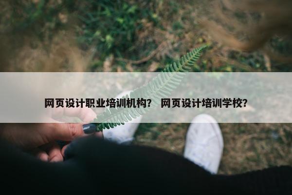 网页设计职业培训机构？ 网页设计培训学校？