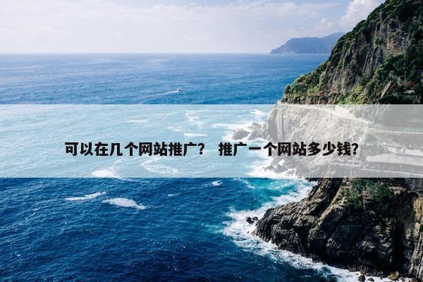 可以在几个网站推广？ 推广一个网站多少钱？
