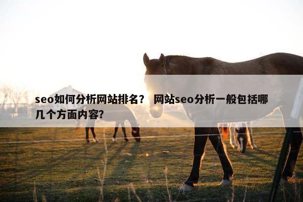 seo如何分析网站排名？ 网站seo分析一般包括哪几个方面内容？