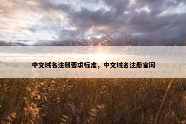 中文域名注册要求标准，中文域名注册官网