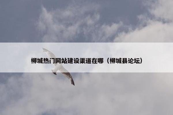 柳城热门网站建设渠道在哪（柳城县论坛）