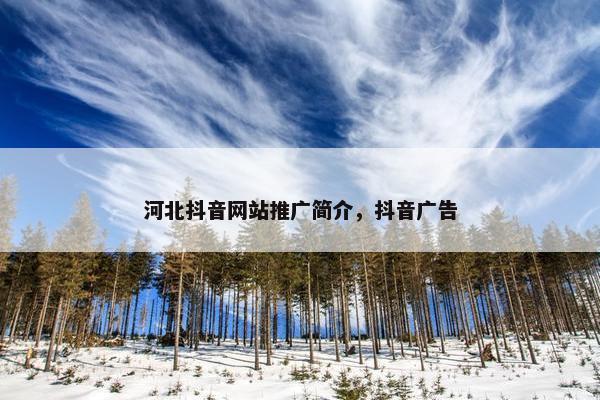河北抖音网站推广简介，抖音广告