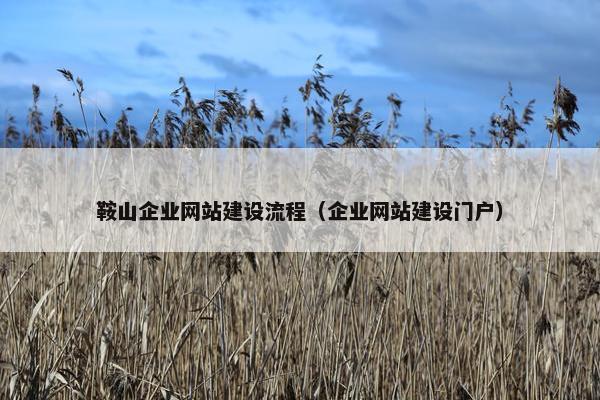 鞍山企业网站建设流程（企业网站建设门户）